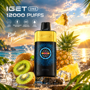 IGET One 12000 Puffs